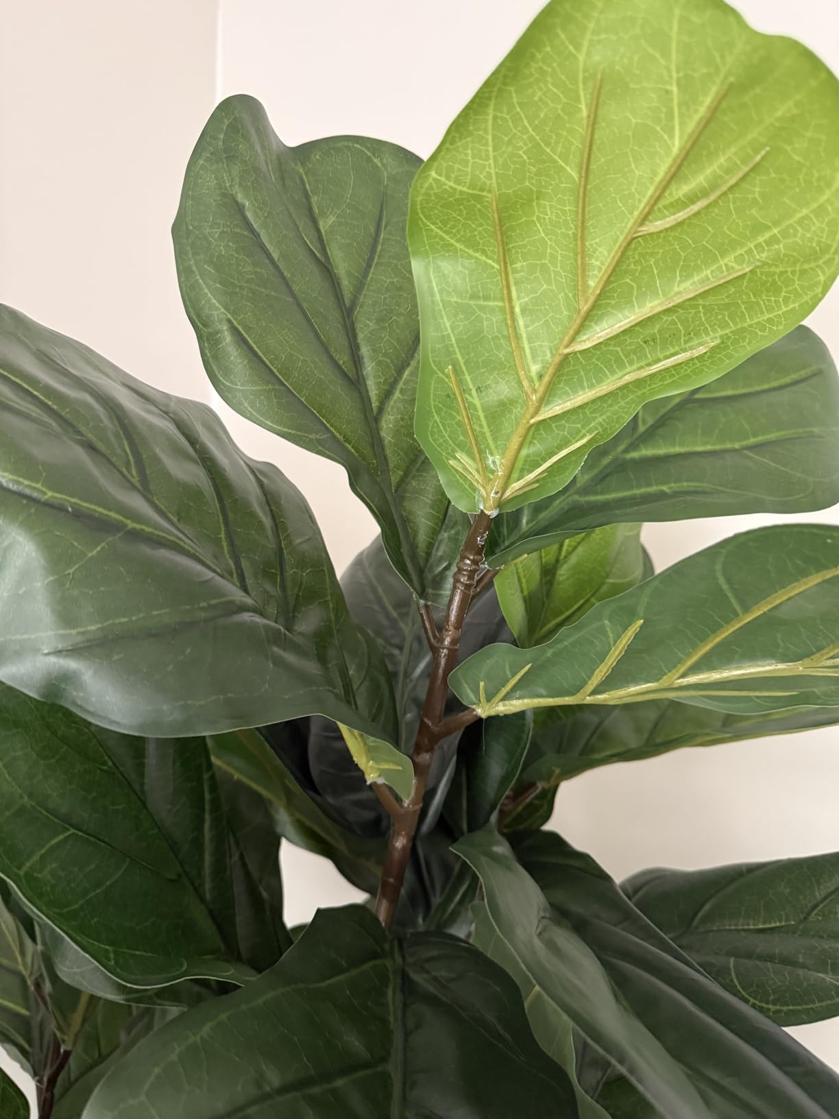 Aveyas 6ft Artificial Ficus Tree for Home Decor customer photo 1