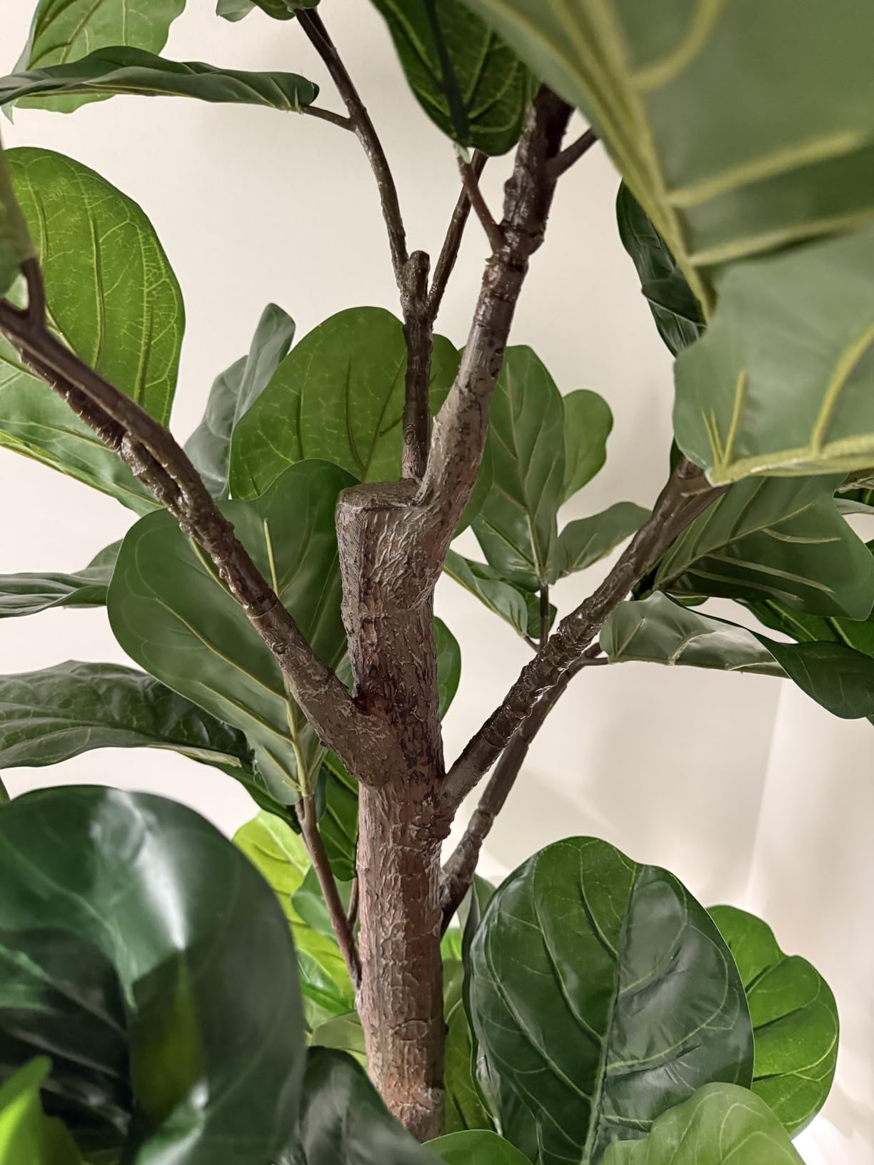 Aveyas 6ft Artificial Ficus Tree for Home Decor customer photo 2