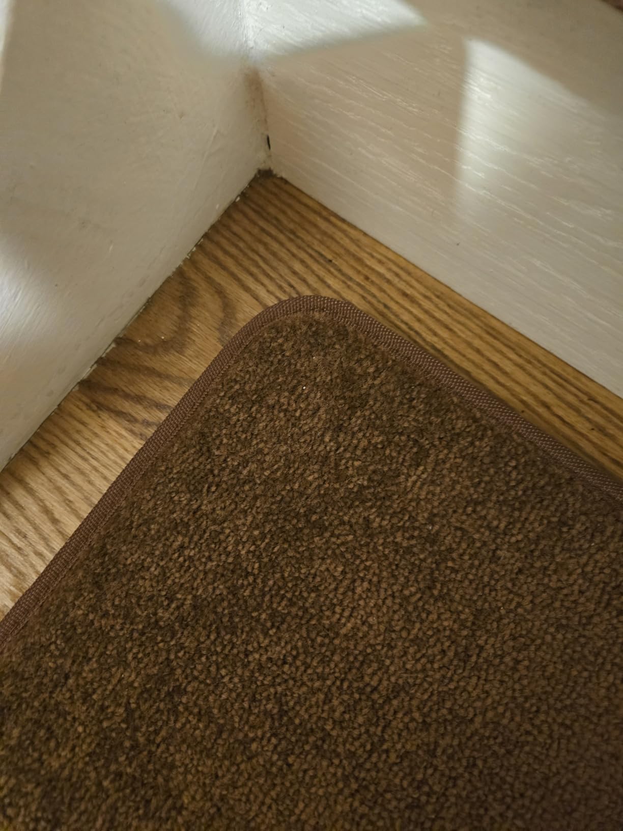 PURE ERA Bullnose Carpet Stair Treads for Wooden Steps Indoor 14 Pcs | 30x9.5 Inch Self Adhesive Tape Free Non Slip Indoor Stair Protectors, Reduce Noise Carpet for Stairs, Washable and Reusable customer photo 2