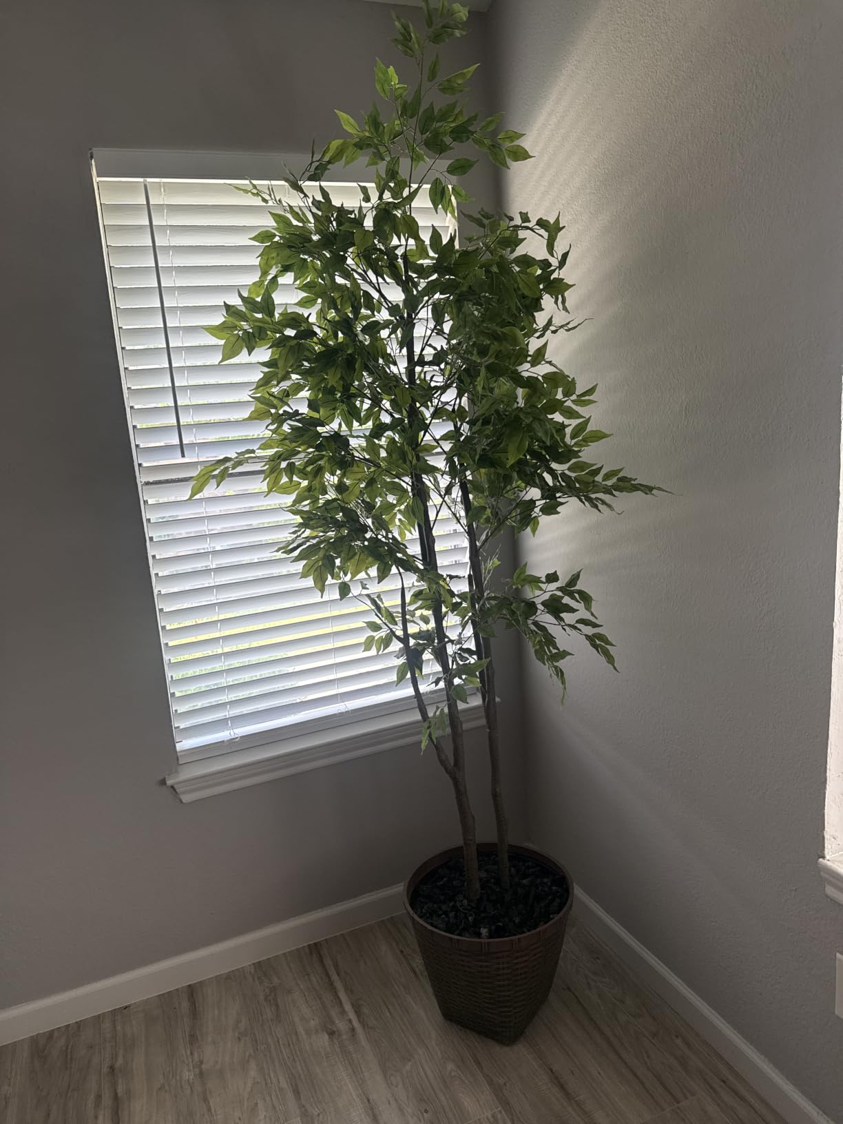 Warmplants 7ft Artificial Ficus Tree with Woven Basket customer photo 1