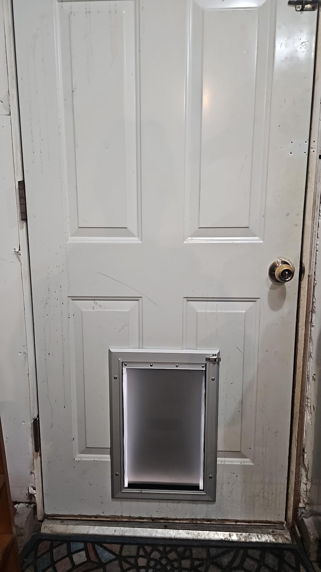 [Petoasis] 3-Flaps Heavy-Duty Dog Door, Rust Proof Aluminum Alloy Frame | Energy-Efficient, Thick Flaps Block Wind Snow Rain Intrusion in Extreme Weather (Silvery White, Large for Door) customer photo 1