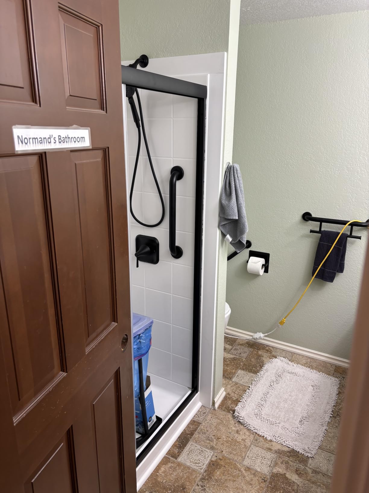 Royal Guard Double Sliding Shower Door, 56-60