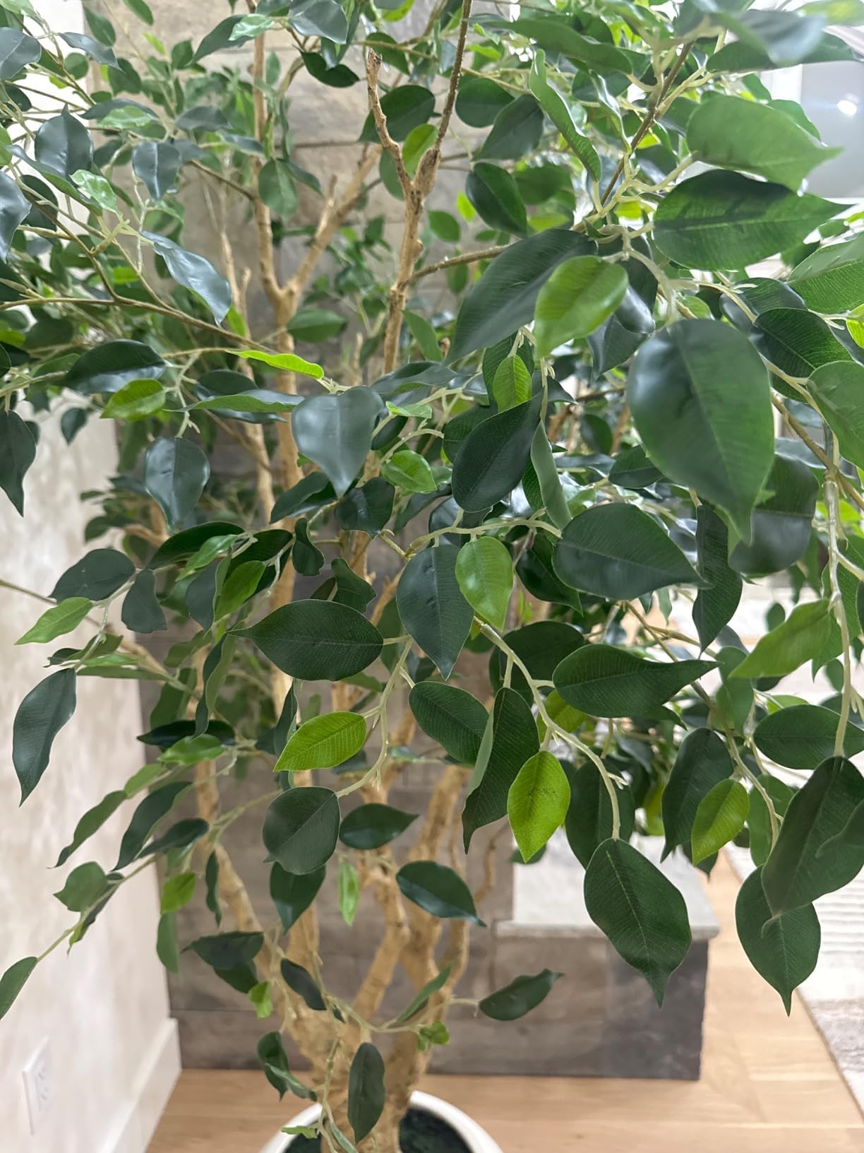 SOGUYI 8 Feet Ficus Tree Artificial Indoor with Round Artisan Planter customer photo 1