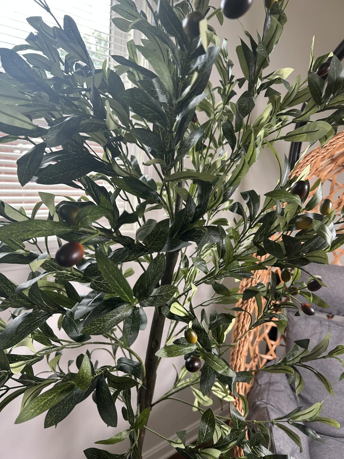 6FT Artificial Olive Tree Indoor Tall Faux with Planter & Basket | Large Fake Olive Silk Trees Realistic Olive Plants with Branches and Fruits for Home Decor Office Living Room customer photo 1