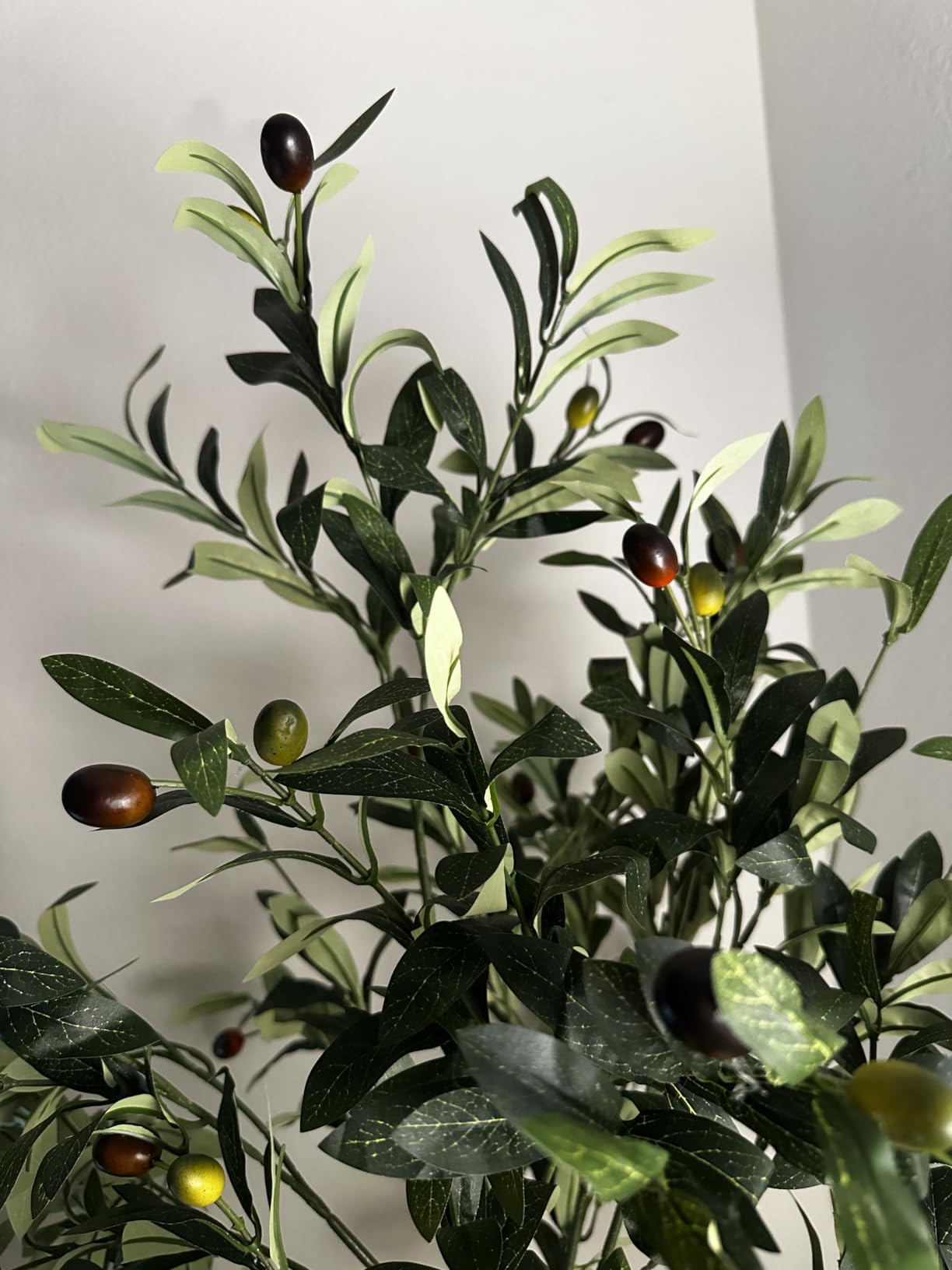 6FT Artificial Olive Tree Indoor Tall Faux with Planter & Basket | Large Fake Olive Silk Trees Realistic Olive Plants with Branches and Fruits for Home Decor Office Living Room customer photo 2