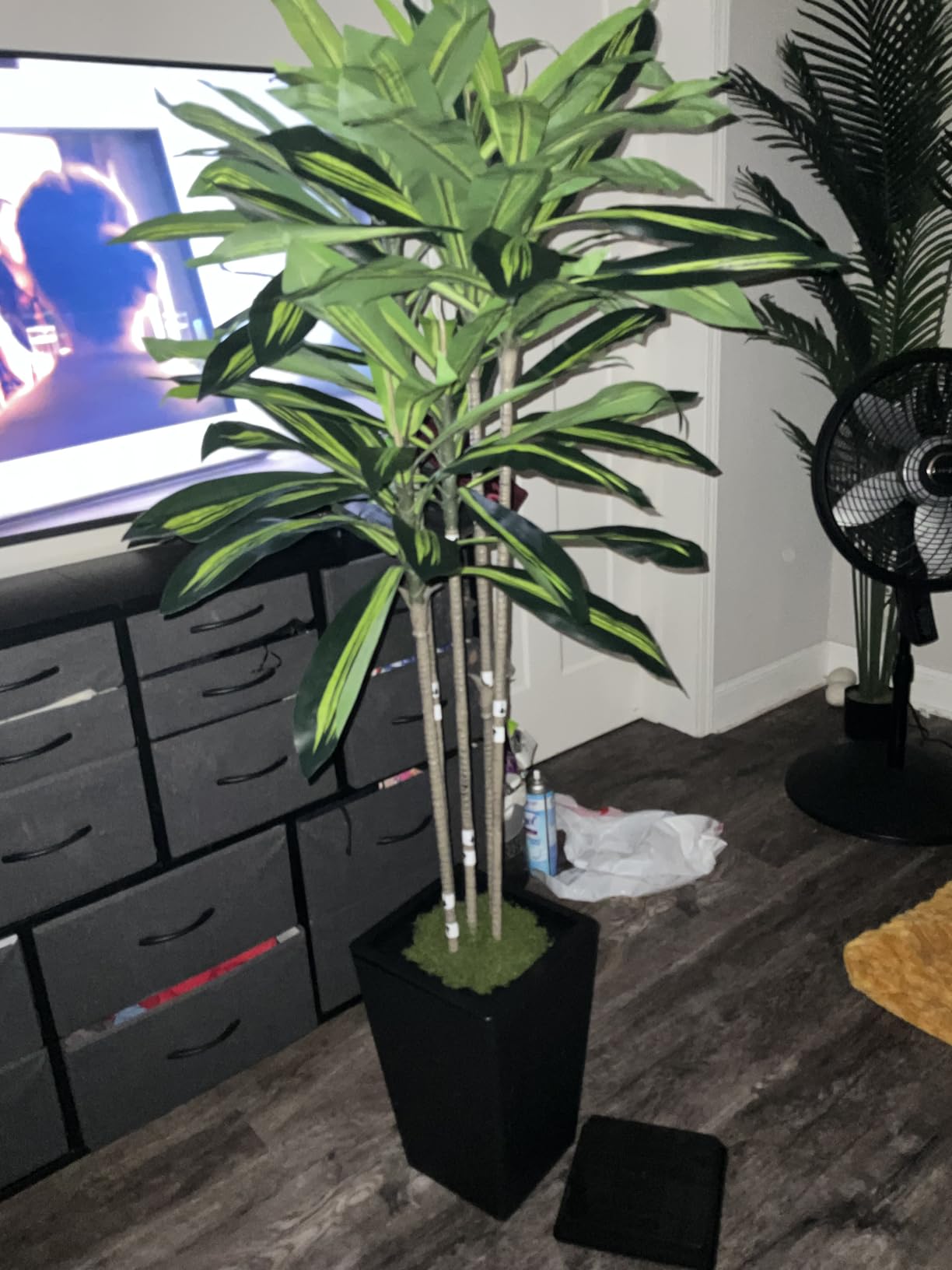 Flydeer 6FT Artificial Dracaena Tree with Tall White Planter, Floor Plant | Large Realistic Fake Tree in Pot with Lifelike Leaves Indoor for Home Decor Office Living Room customer photo 1