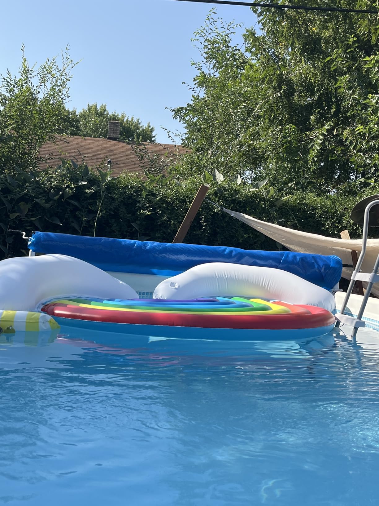 Solar Pool Cover 18 Foot Round, 10Mil Blue Bubble Pool Blanket for Inground & Above-Ground Pools | Solar Heating Cover | UV-Resistant & Energy Efficient customer photo 2