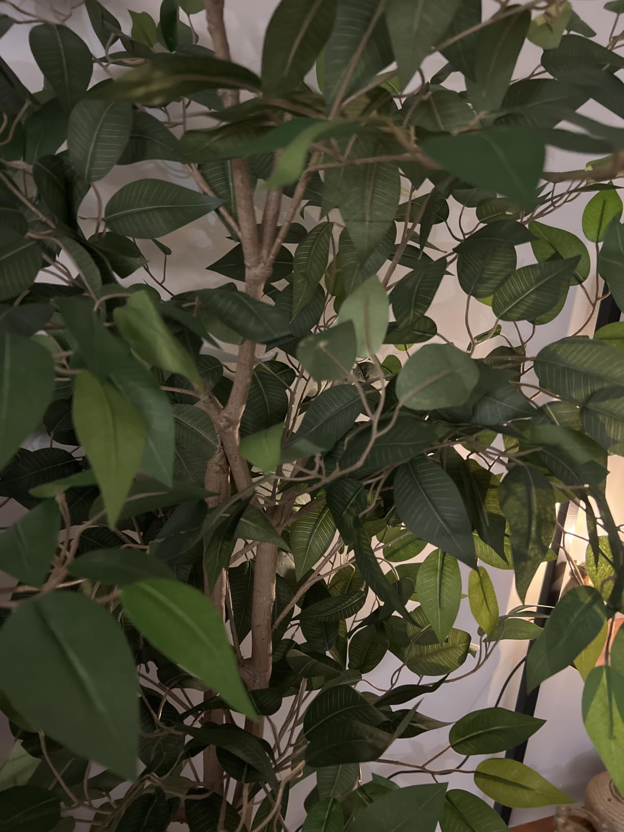 VIVATREES 6FT Artificial Ficus Tree with White Planter customer photo 2