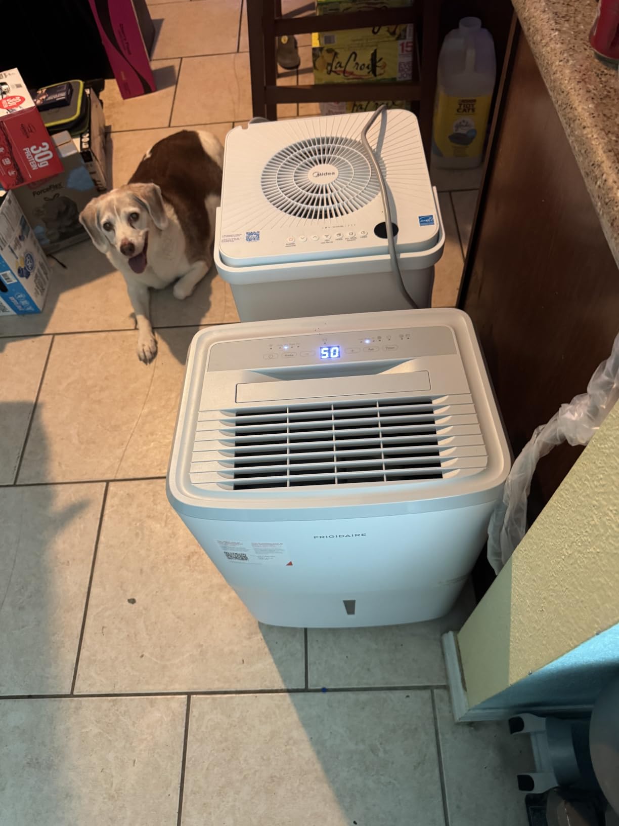 Frigidaire 50 Pint Dehumidifier w/Wifi | Portable, Quiet, Energy Efficient, Humidity Absorber, Moisture Extractor, for Bedroom Living Room Garage Attic Crawl Space customer photo 1