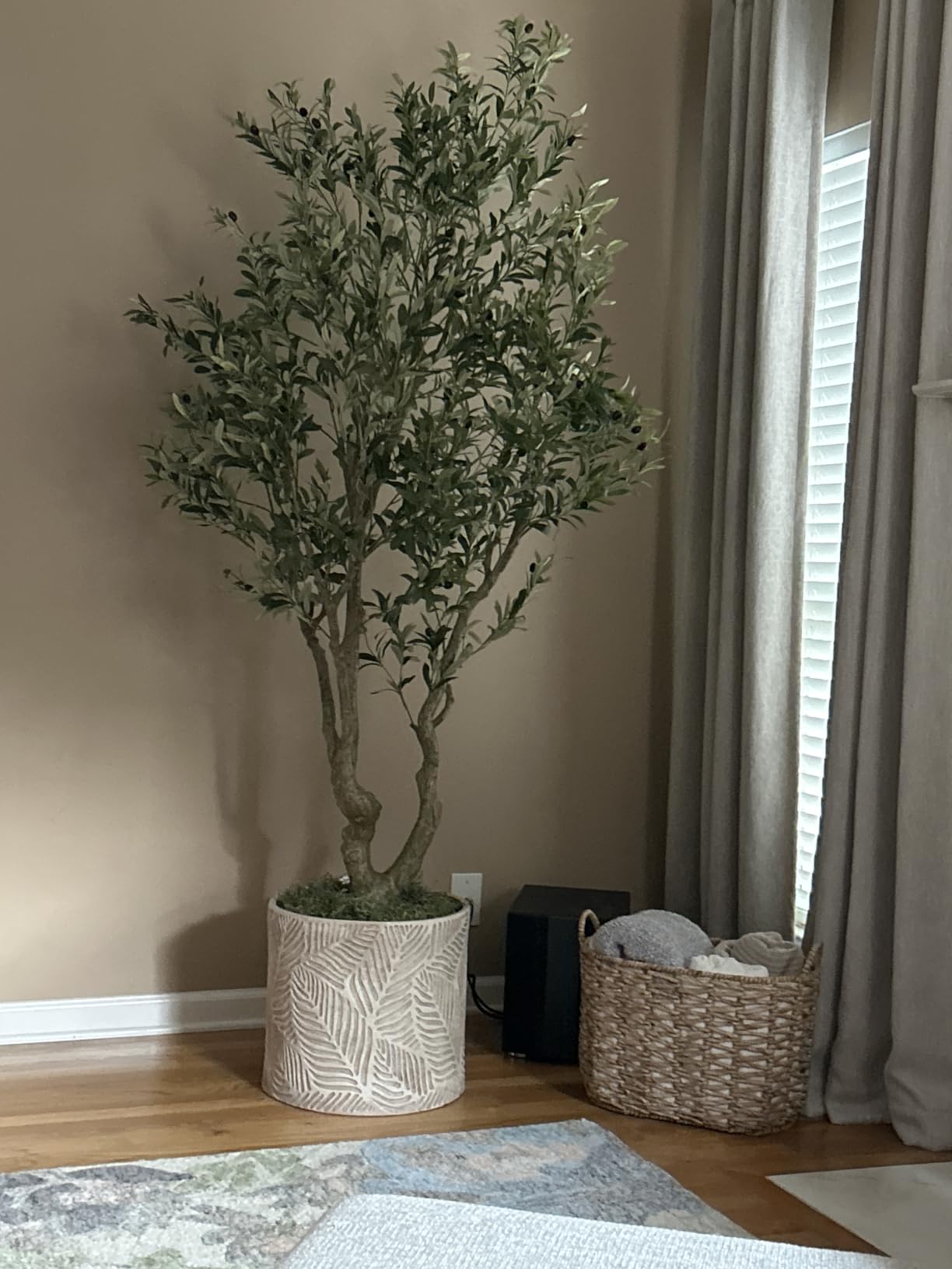 FEELEAD Faux Olive Tree 8ft - Tall Olive Trees Artificial Indoor Home Decor | Large Fake Olive Tree 8 Feet with Natural Wood Trunk and Lifelike Fruits, Faux Trees Indoor for Modern Home Office Decor customer photo 1