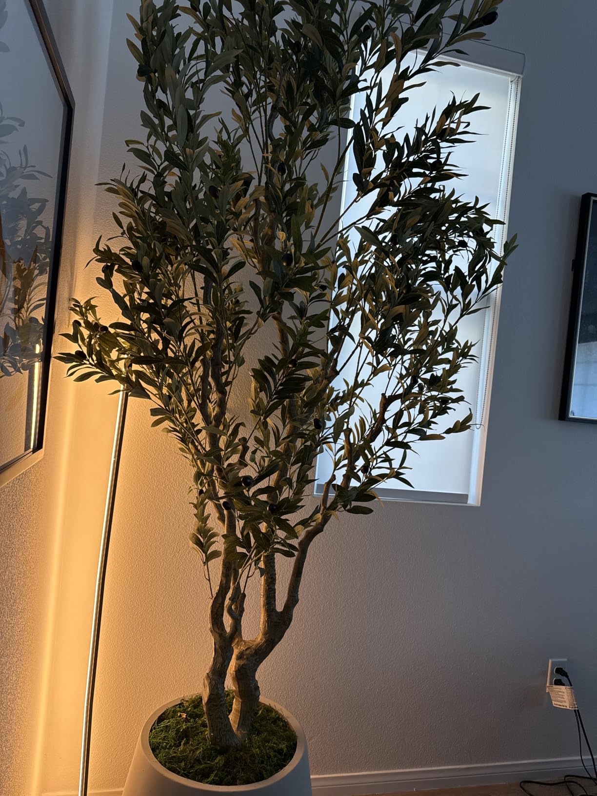 FEELEAD Faux Olive Tree 8ft - Tall Olive Trees Artificial Indoor Home Decor | Large Fake Olive Tree 8 Feet with Natural Wood Trunk and Lifelike Fruits, Faux Trees Indoor for Modern Home Office Decor customer photo 2