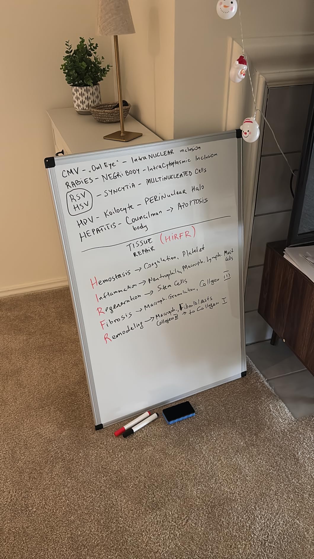 DUMOS Magnetic White Board Kit for Wall 36