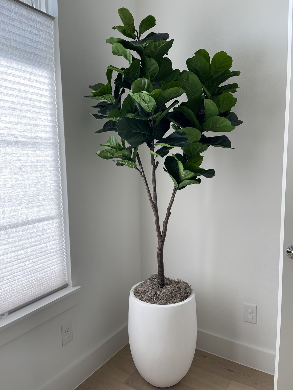 Realead 6ft Artificial Ficus Tree with Triple Trunk & Black Planter customer photo 1