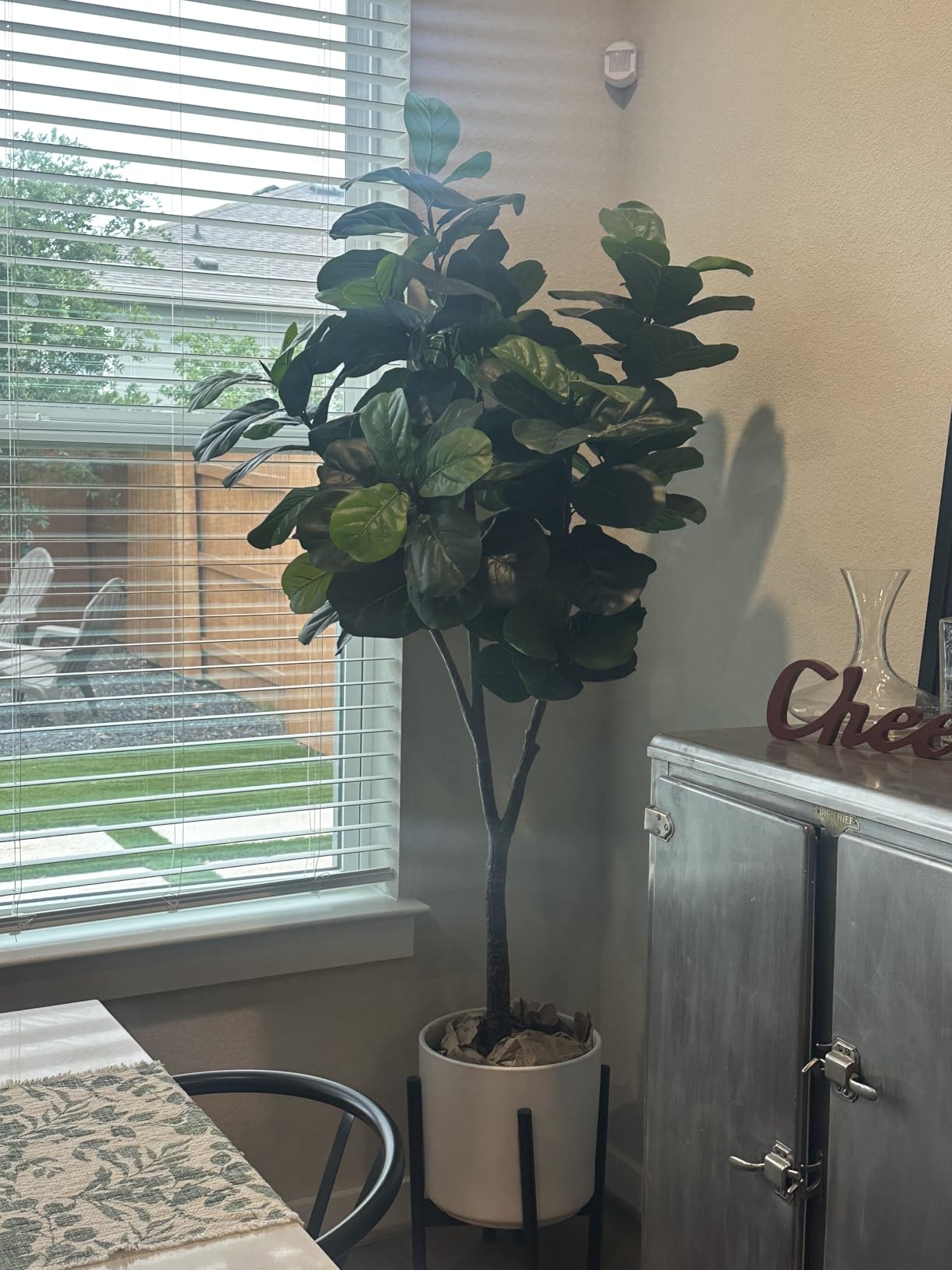 Realead 6ft Artificial Ficus Tree with Triple Trunk & Black Planter customer photo 2