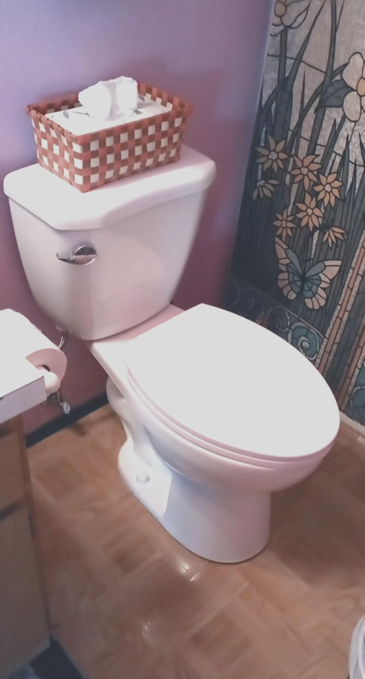 DeerValley Two-Piece Toilet ADA American Standard Toilet 12