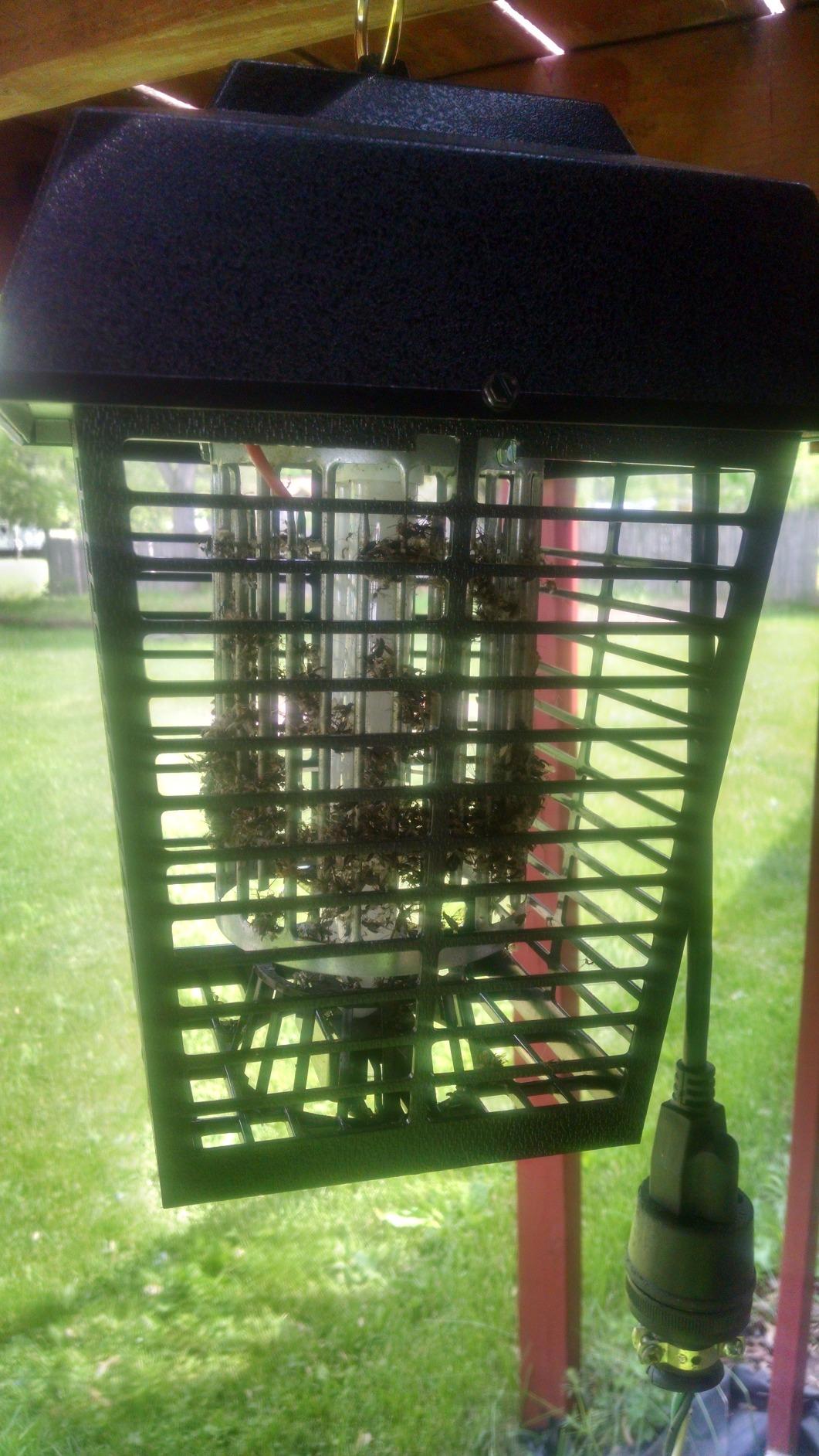 Flowtron Electric Bug Zapper, 1/2 Acre Outdoor, 15W UV, 5600V Zap, Black customer photo 2
