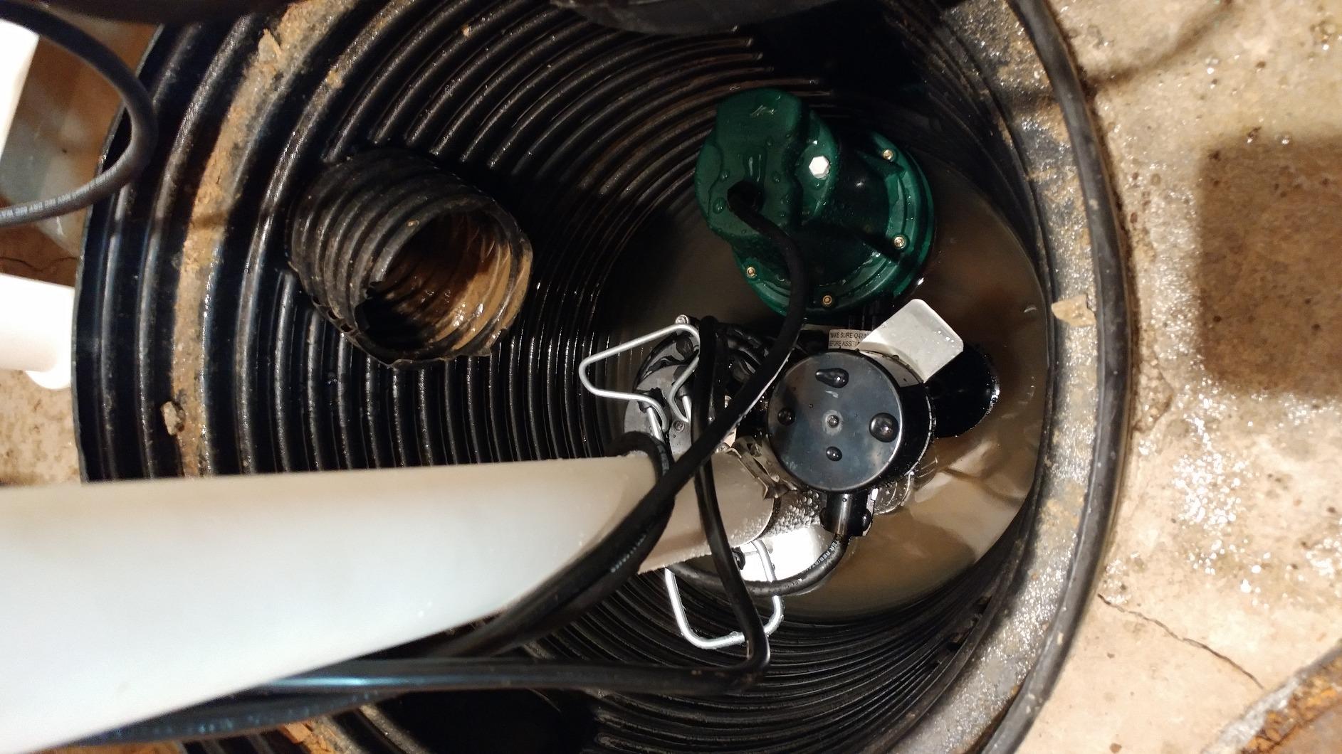 WAYNE CDU800 1/2 HP Submersible Sump Pump – Cast Iron & Stainless Steel, Vertical Float Switch, 5,100 GPH, 3-Year Warranty customer photo 2
