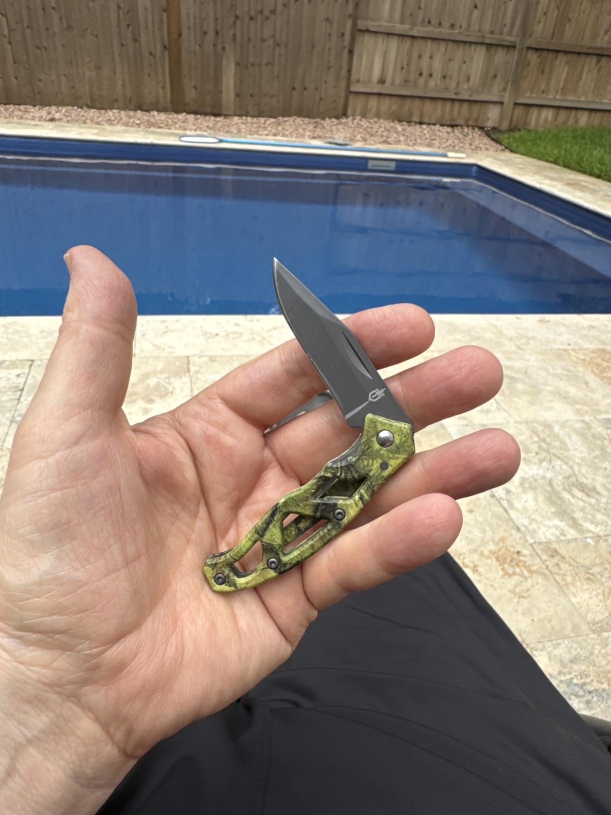 Gerber Gear Paraframe Mini Pocket Knife, 2.2