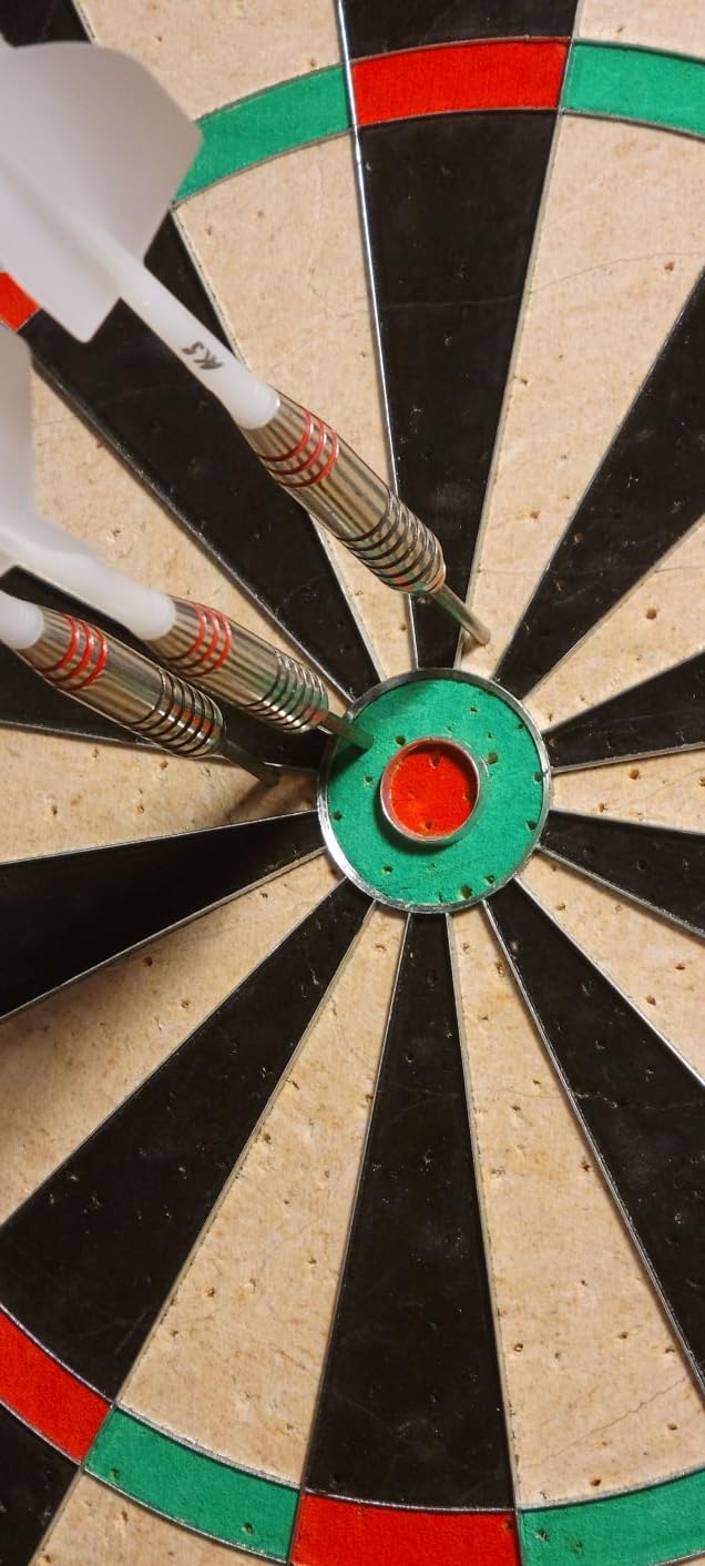Viper Razorback Sisal Dartboard customer photo 2