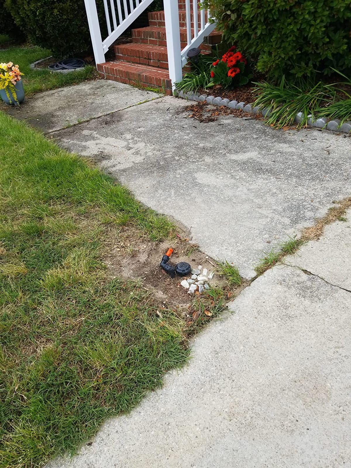 In-Ground 5-Inch Pop-Up Adjustable Sprinkler with Quick Hose Connector, QSK-741 customer photo 1