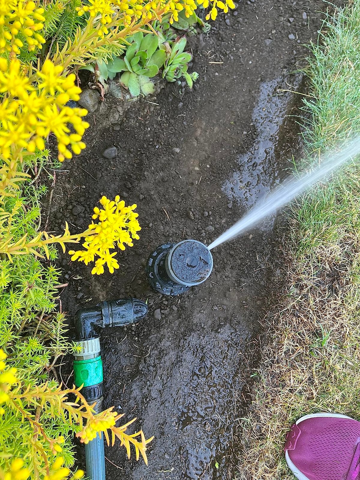 In-Ground 5-Inch Pop-Up Adjustable Sprinkler with Quick Hose Connector, QSK-741 customer photo 2