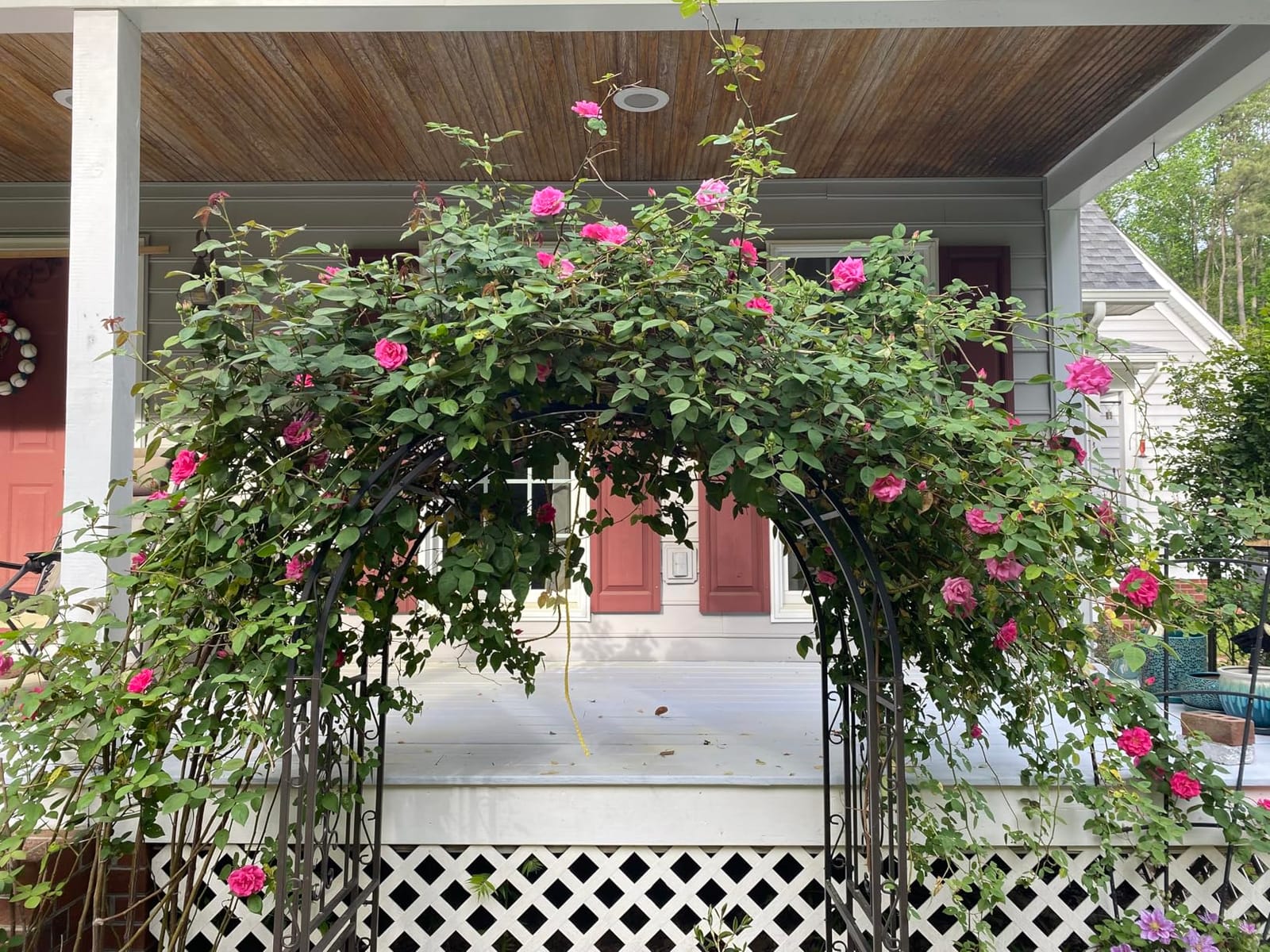 Plow & Hearth Arch Metal Outdoor Garden Arbor | Montebello | 7 Feet Tall | Steel Iron Trellis Lattice for Climbing Plants & Heavy Vines | Wedding Outdoor Patio Décor customer photo 2