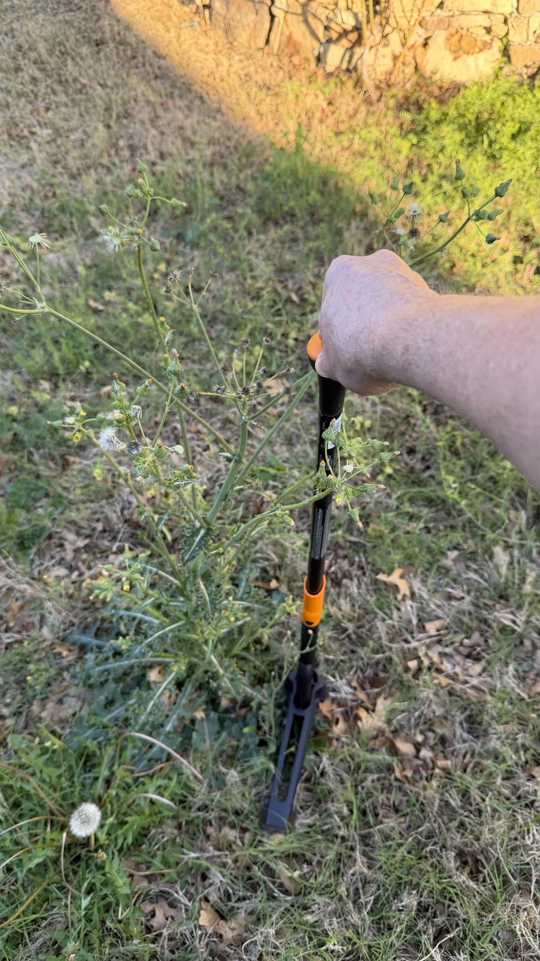 Fiskars Deluxe Stand-Up Weed Puller Tool, 4 Serrated Stainless Steel Claws customer photo 1