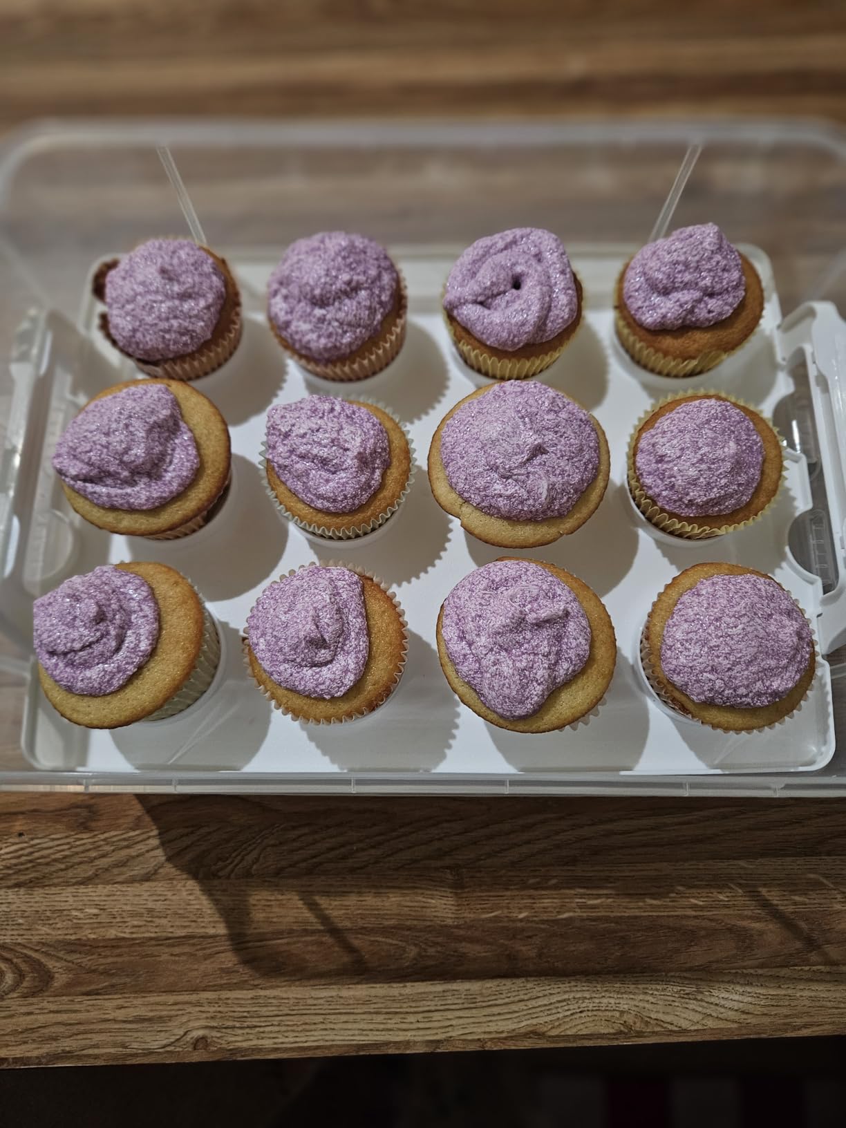 Snapware (2-Layer, 24 Cupcakes Plastic Detachable Cupcake Carrier | Storage container with lid and handle, freezer, dishwasher, & microwave safe customer photo 1