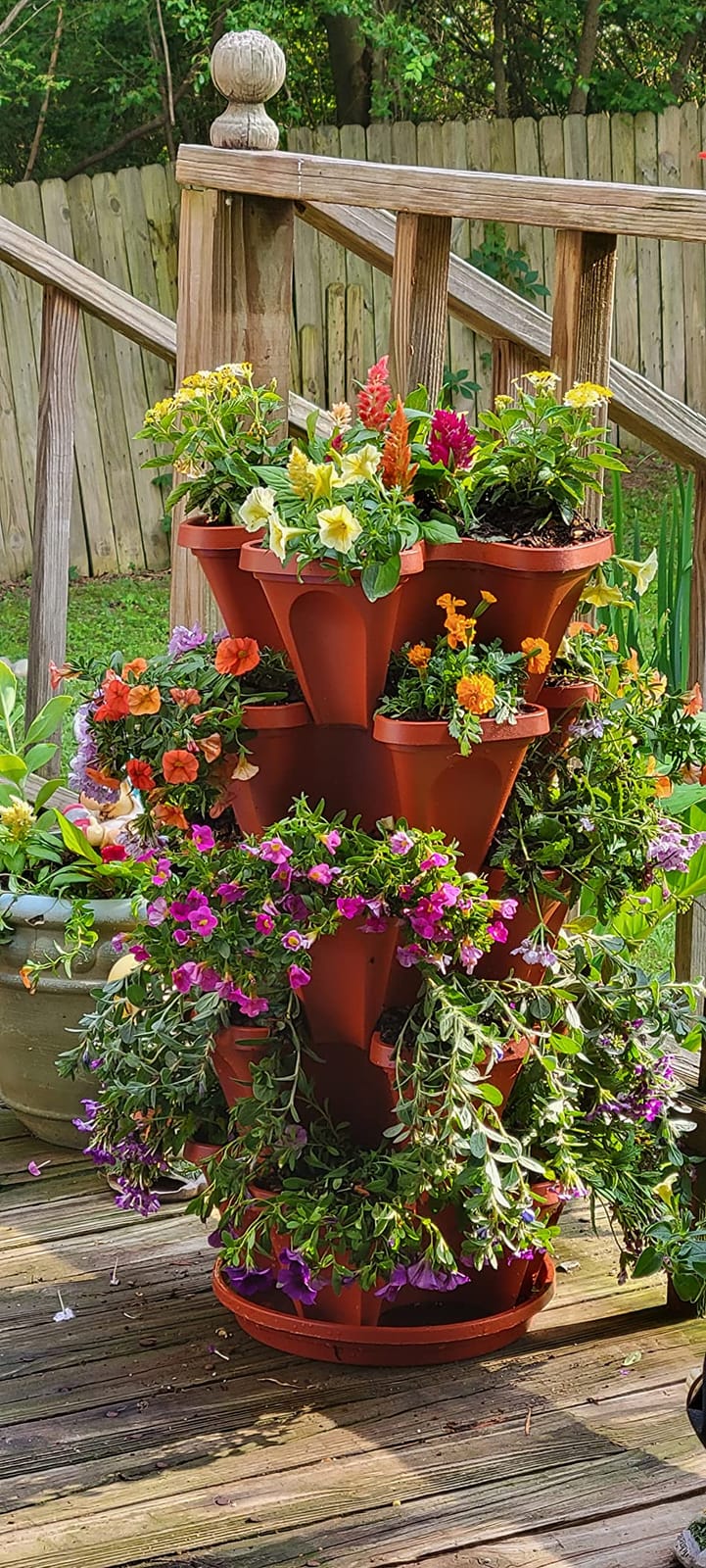 5 Tier Stackable Strawberry, Herb, Flower, and Vegetable Planter - Vertical Garden Indoor/Outdoor customer photo 1
