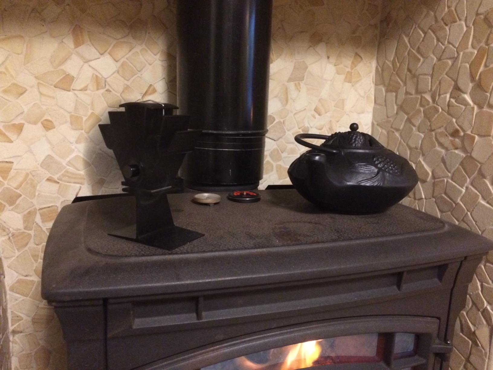 Plow & Hearth Pinecone Wood Stove Steamer Kettle, Cast Iron Fireplace Humidifier, Matte Black, Rust Resistant, 2.5 QT customer photo 2