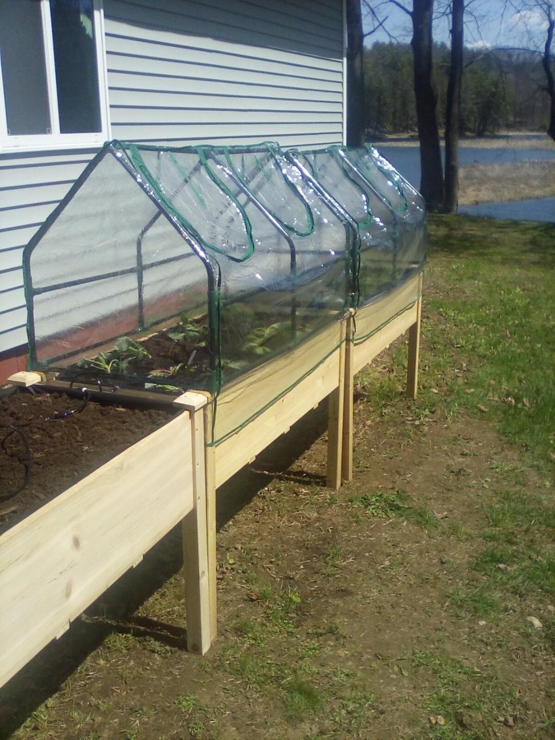 Garden Raised Bed and Cold Frame Greenhouse Cloche customer photo 1