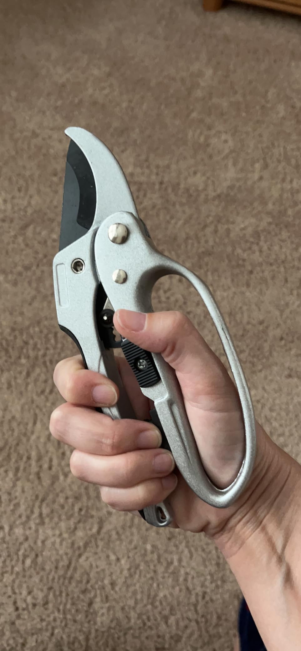 The Gardener's Friend Heavy Duty Ratchet Pruning Shears, Anvil customer photo 1