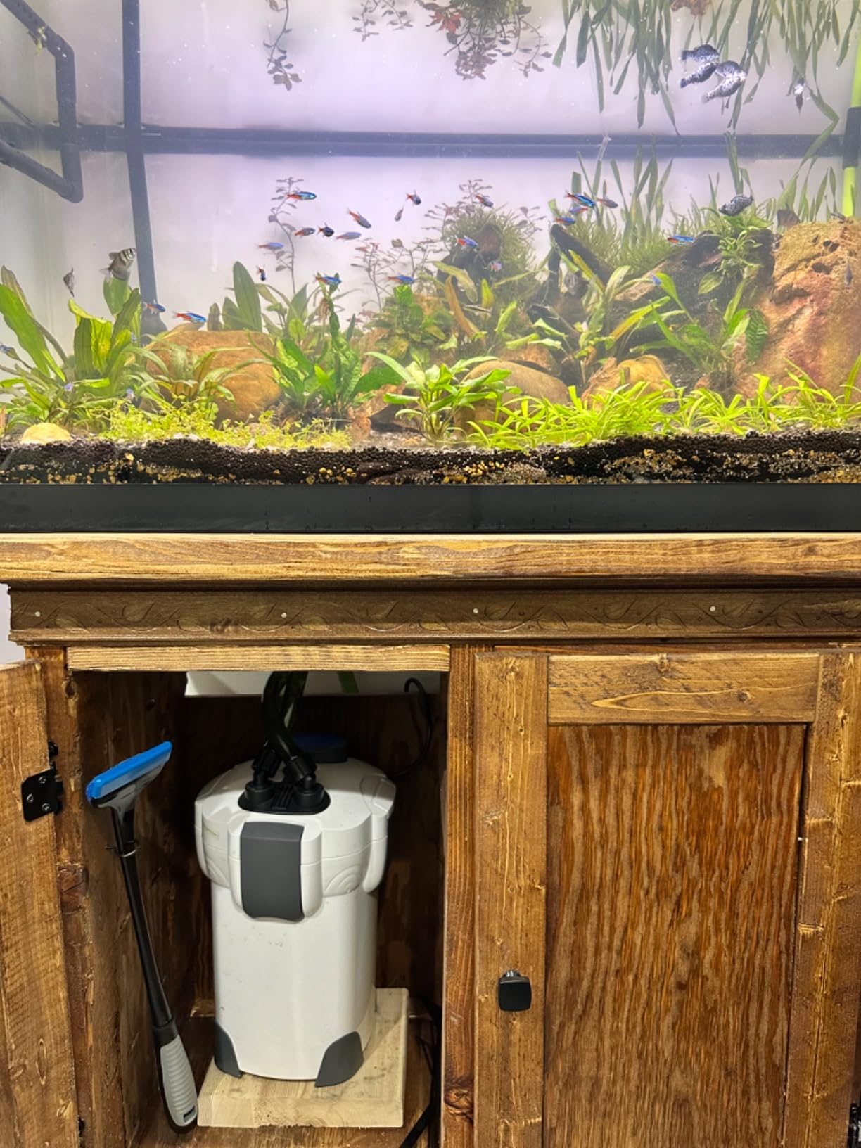 SunSun HW-302 3-Stage External Canister Aquarium Filter 264GPH customer photo 1