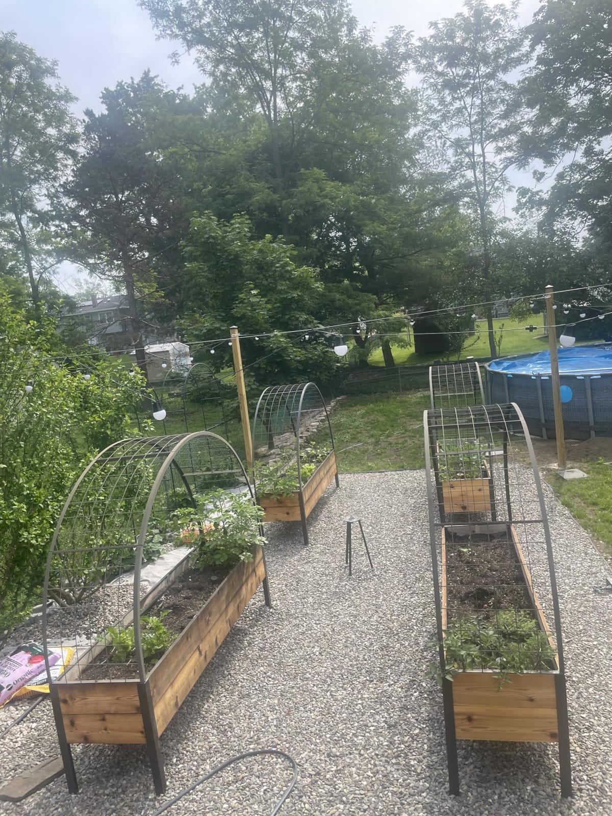 Gardener's Supply Company Elevated Cedar Raised Garden Bed 2' x 4' Planter customer photo 1