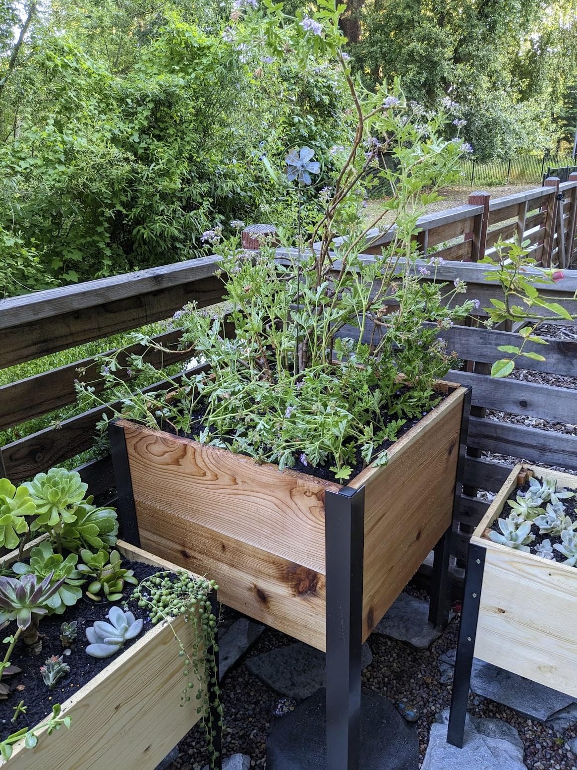 Gardener's Supply Company Elevated Cedar Raised Garden Bed 2' x 4' Planter customer photo 2