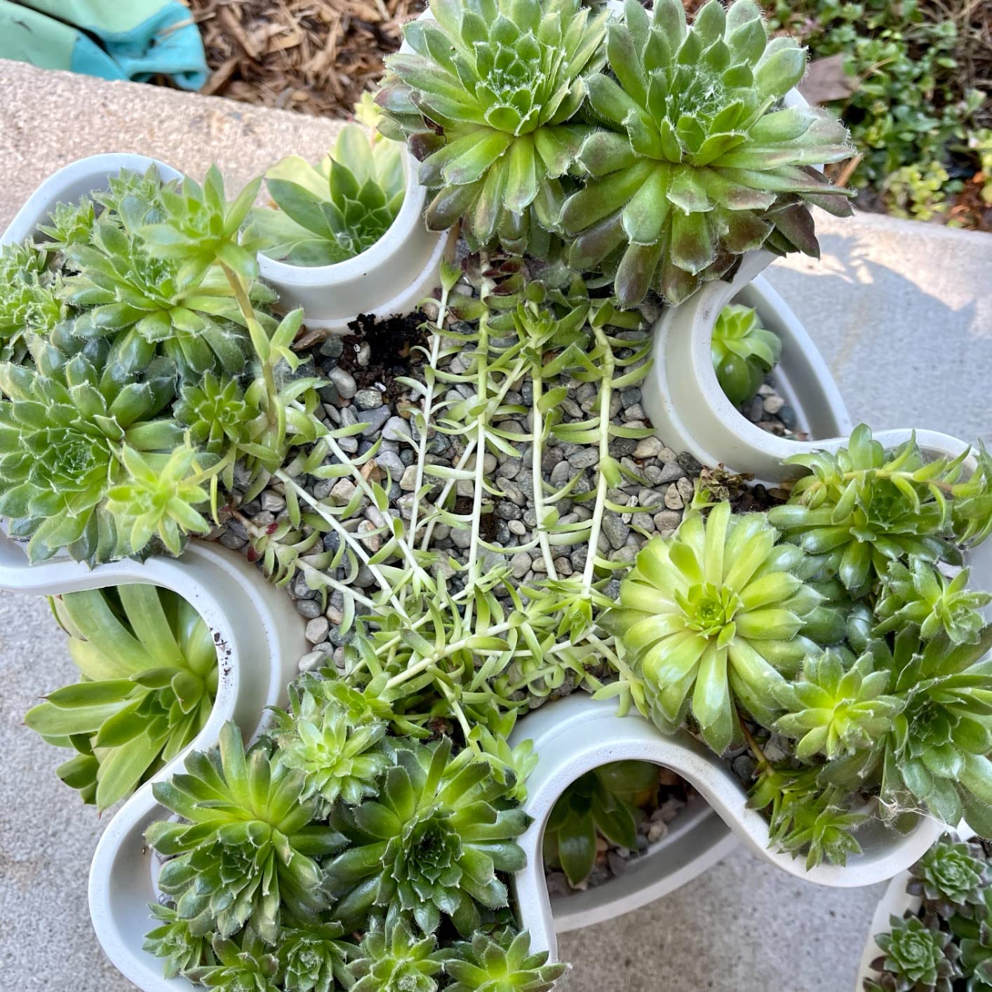 3 Tier Stackable Garden,Indoor,Outdoor Vertical Planter Set,Self Watering Tiers From Top Down,Smart Planting Pots,Used for Strawberries Herbs Peppers Flowers and Succulents (Stone) customer photo 1