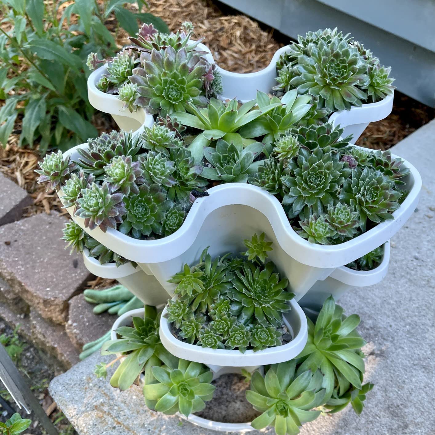 3 Tier Stackable Garden,Indoor,Outdoor Vertical Planter Set,Self Watering Tiers From Top Down,Smart Planting Pots,Used for Strawberries Herbs Peppers Flowers and Succulents (Stone) customer photo 2