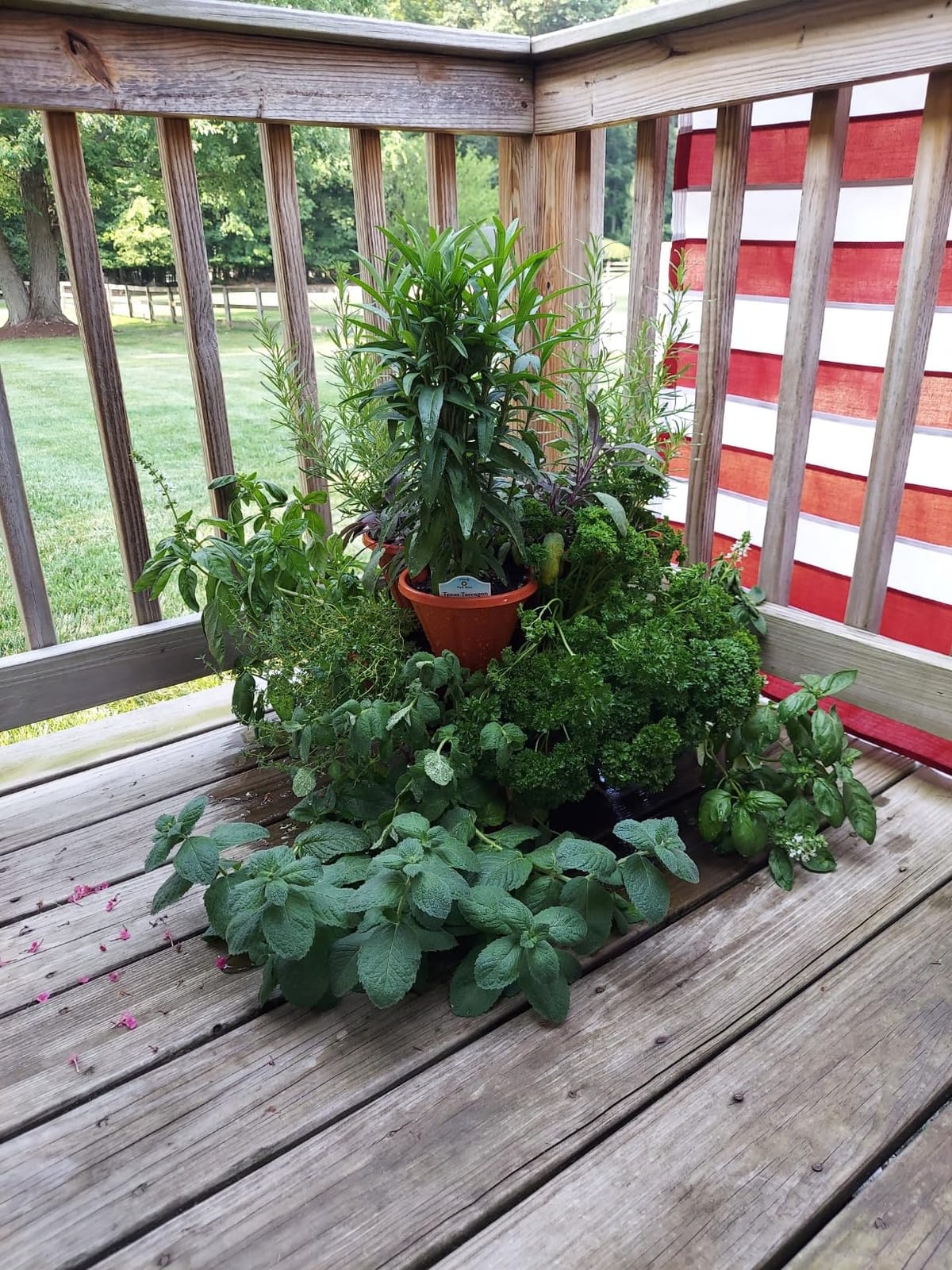 Stacking Planter Tower- 3-Tier Space Saving Flower Pots- Set of 3 Indoor/Outdoor Vertical Herb & Vegetable Garden by Pure Garden (Terracotta Colored) customer photo 2