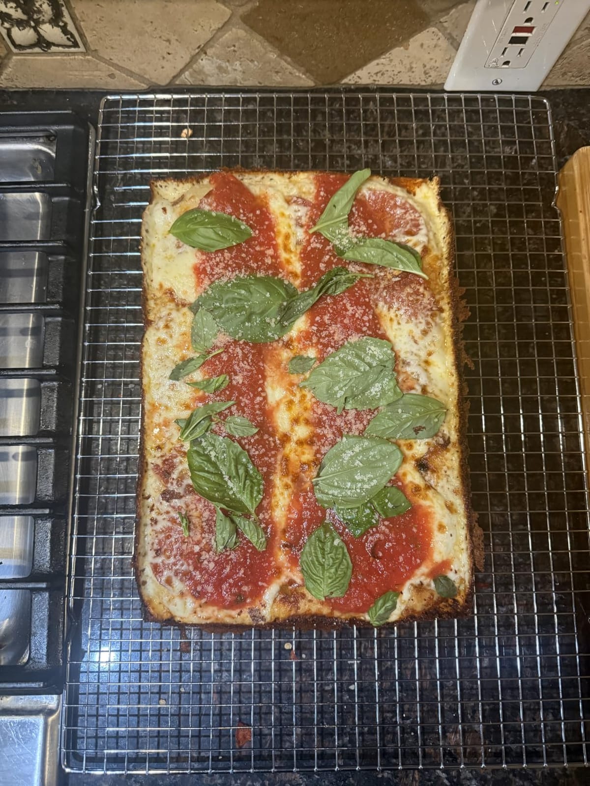 Lloyd Pans Detroit Style Pizza Pan 10 by 14 by 2.5 Inch -PSTK customer photo 1