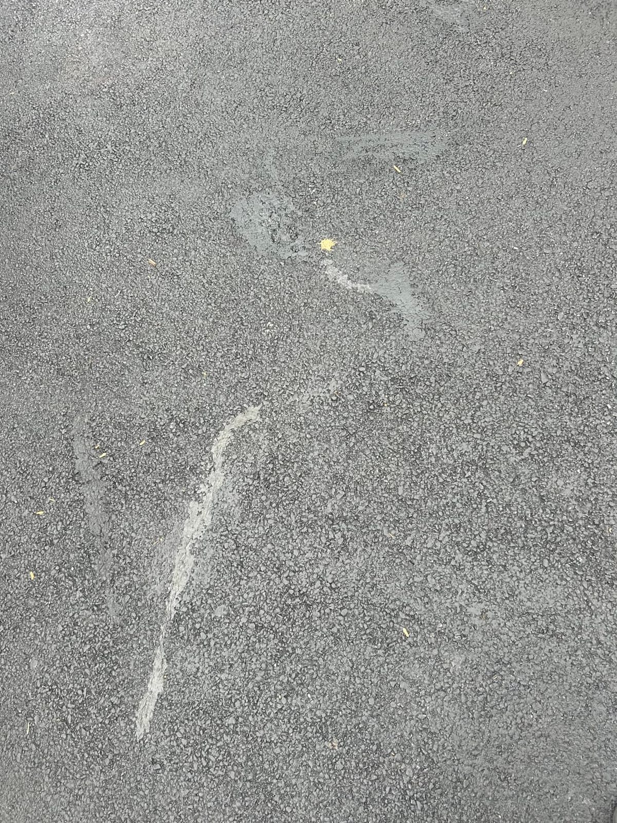 Bluestar Flexible Asphalt Crack Filler, DIY - No Special Tools Needed, Fill Cracks in Asphalt Driveways and Parking Lots. 16 fl. oz. Bottle. customer photo 1