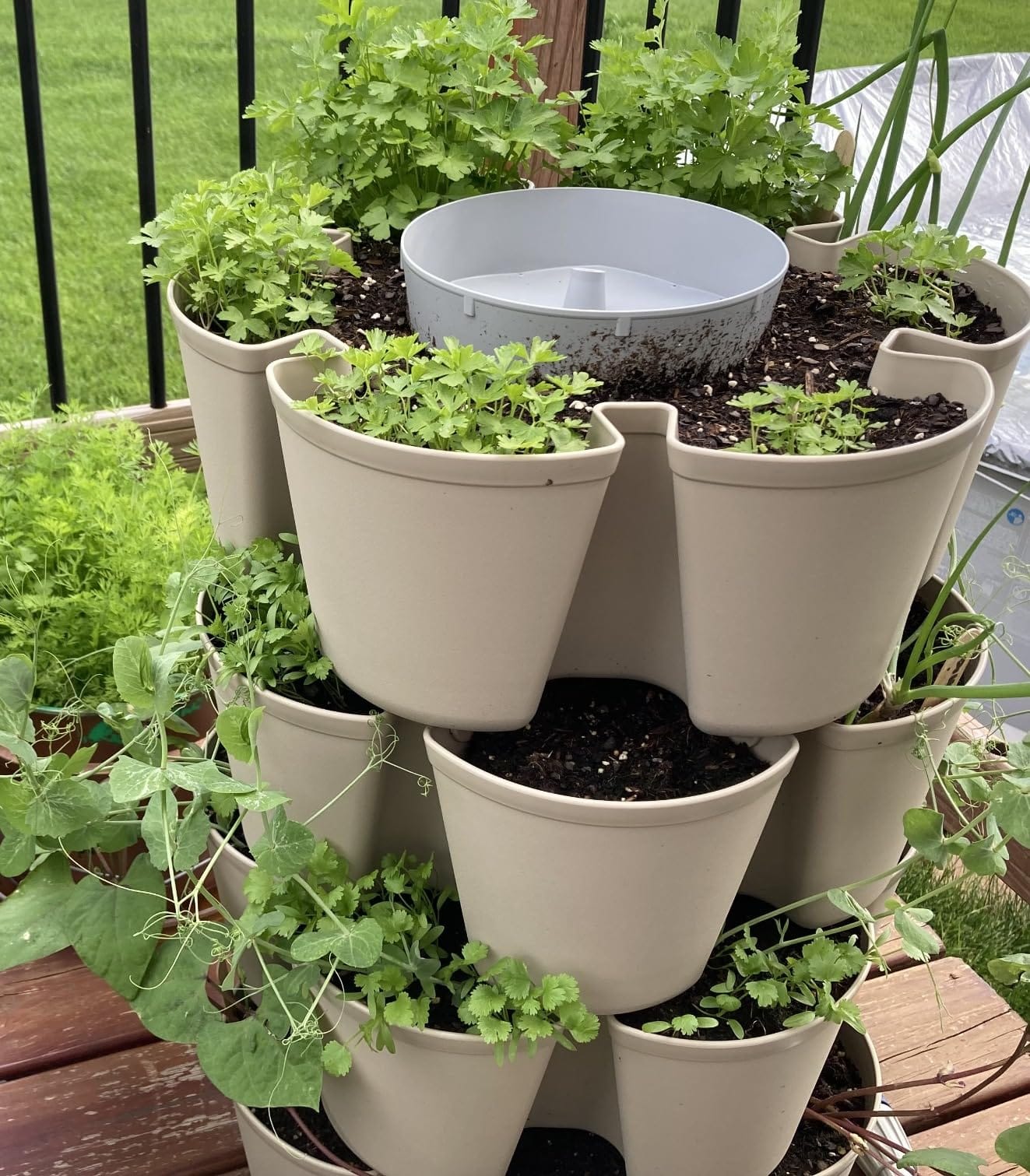 Greenstalk Patented Large 5 Tier Vertical Garden Planter with Patented Internal Watering System Great for Growing a Variety of Strawberries, Vegetables, Herbs, & Flowers (Stunning Stone) customer photo 2