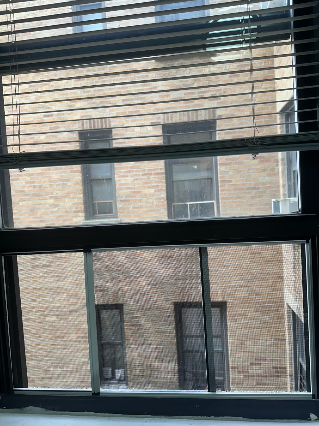 Fenestrelle Expandable Window Screen, 15″ H × 21″–40″ W Horizontal, 2-Pack customer photo 1