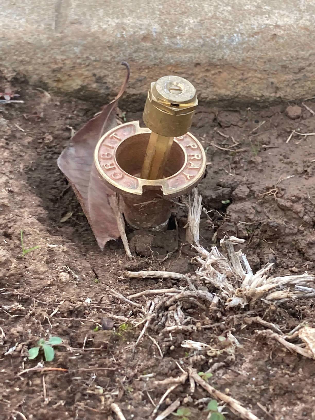 5-Pack Orbit 54070 Brass Pop-Up Flush Head Sprinkler with Full Pattern Spray Nozzle customer photo 2