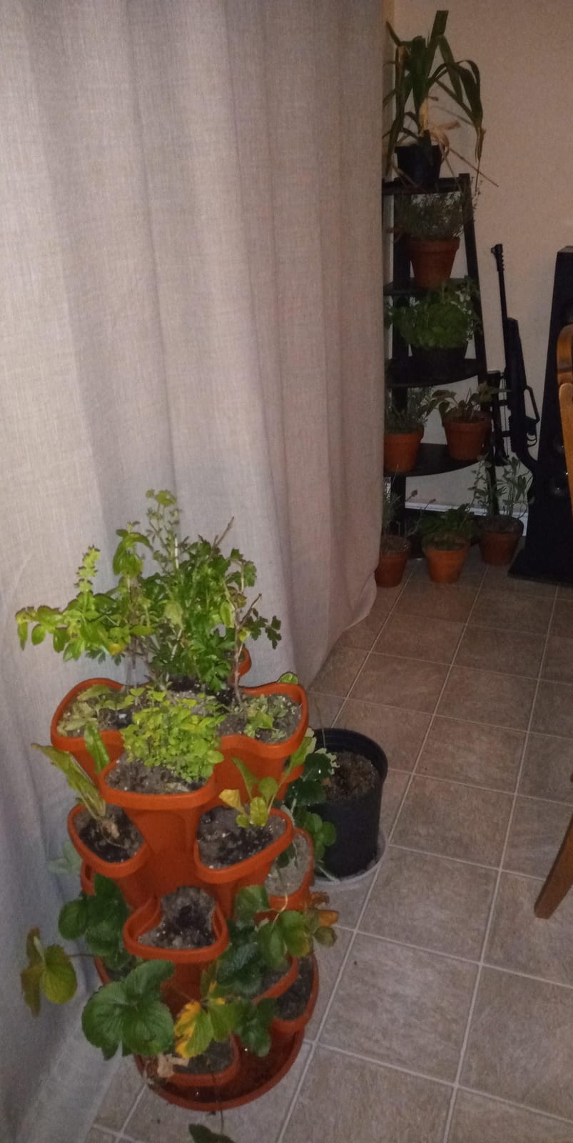 5-Tier Strawberry and Herb Garden Planters 5@13x13x5.2 inch - 24 quart Stackable Gardening Pots with 10 Inch Saucer (Terra-Cotta) customer photo 2