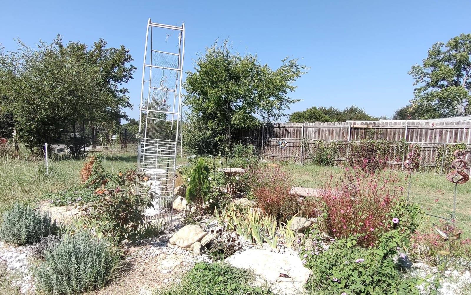 Metal Garden Arch 5.5ft W, 16mm Thick Steel Tube for Climbing Roses & Vines customer photo 1