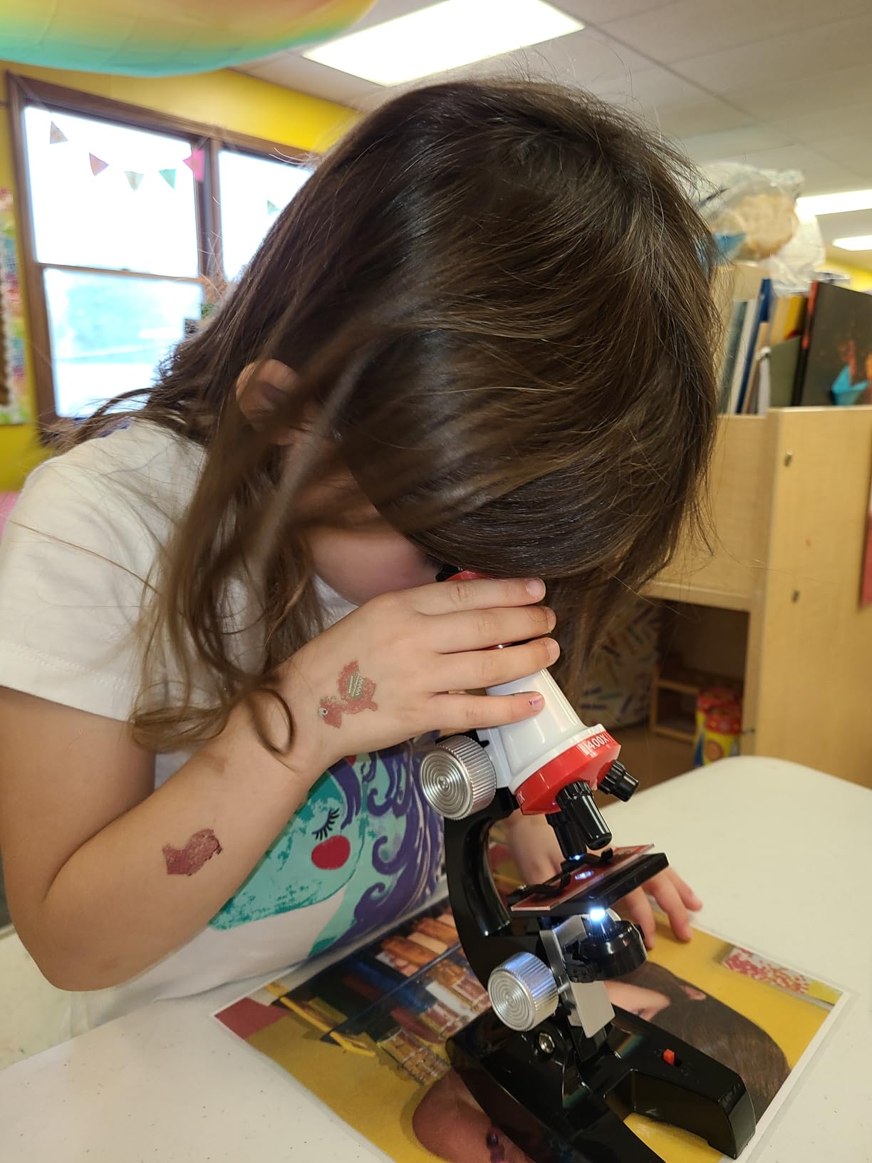 Little World Kids Microscope with LED Light - 100X/400X/1200X Magnification customer photo 1