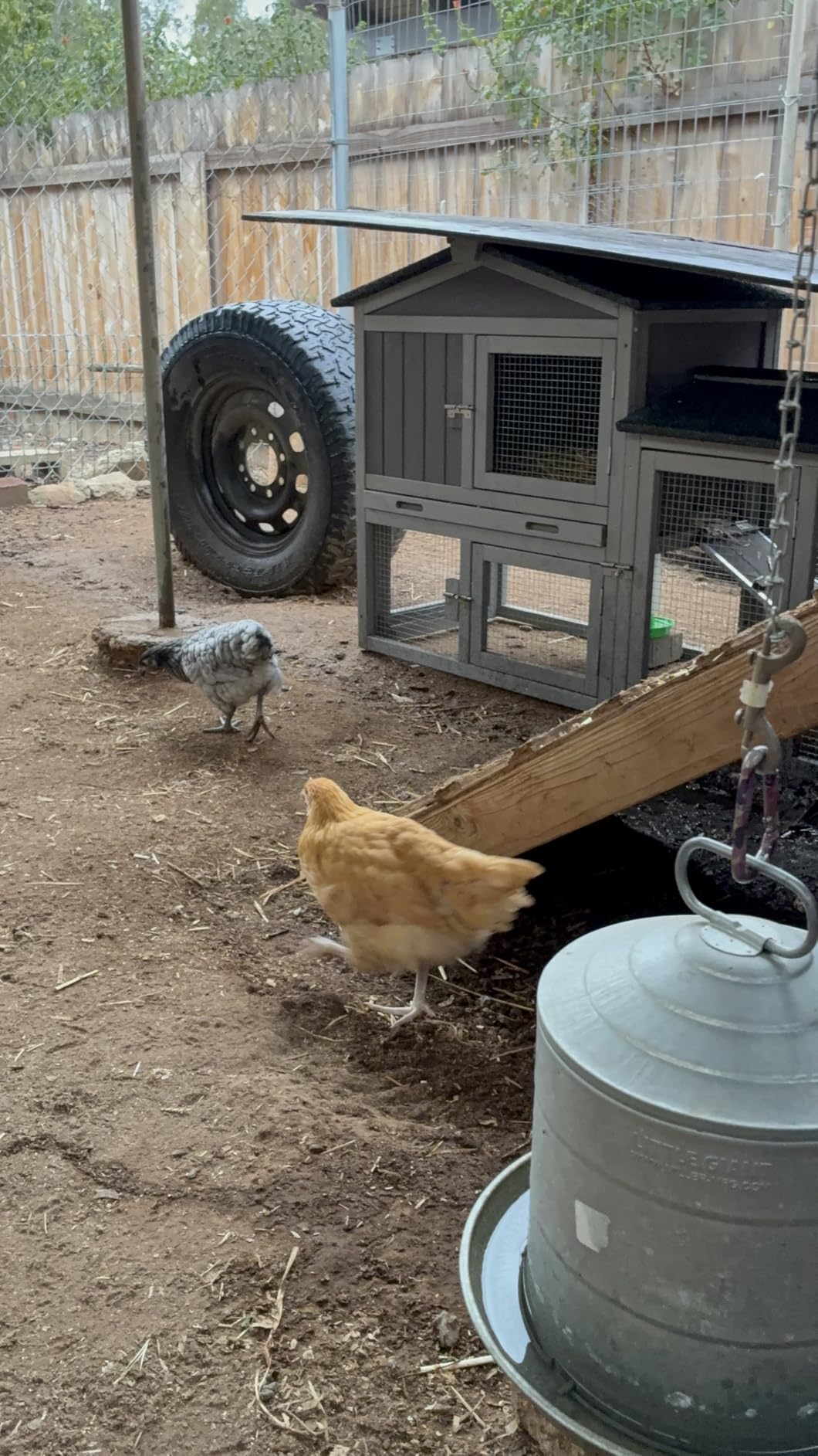 Aivituvin Chicken Coop for 2 Chickens, Wooden Duck House Outdoor Hen House Poultry Quail Cage-Expandable Design customer photo 2