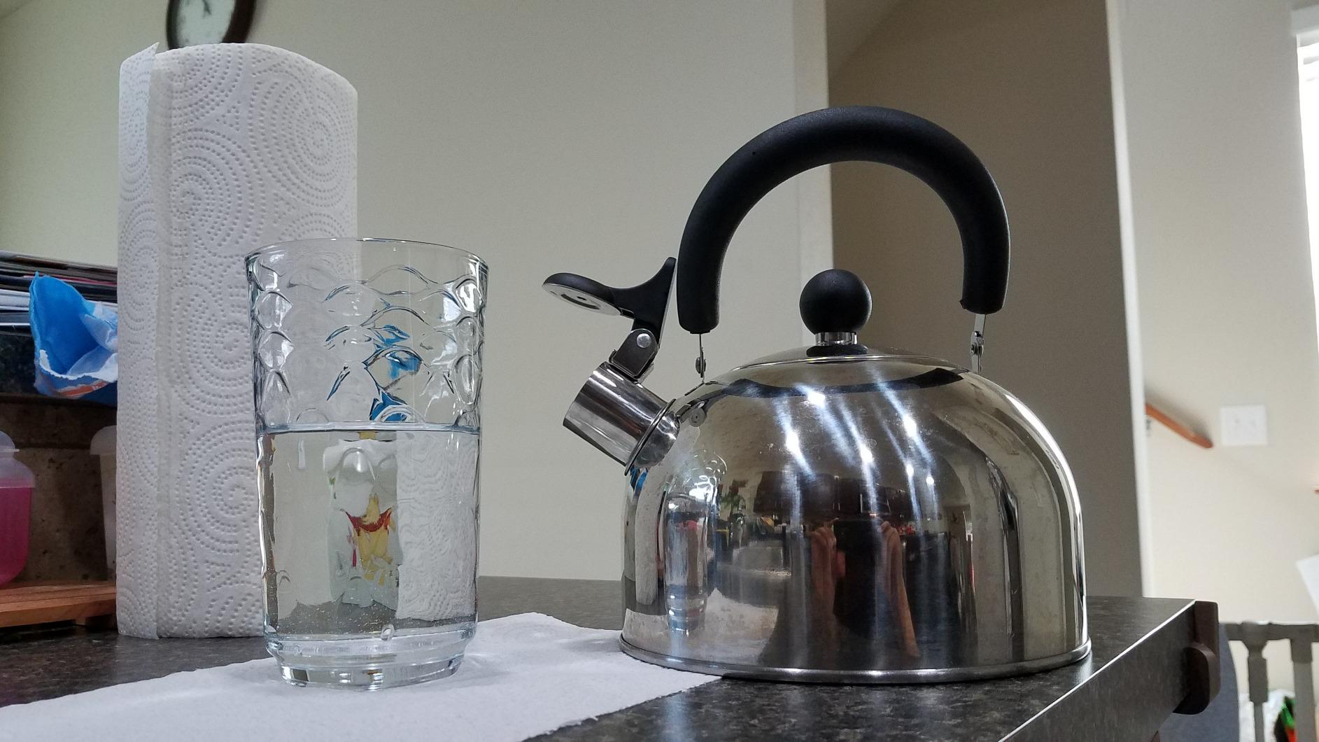Lily's Home 2 Quart Whistling Tea Kettle, Stainless Steel Stovetop Kettle for Gas & Induction Tops, Classic Whistle Spout, Cool-Touch Handle for Safe Pouring customer photo 1
