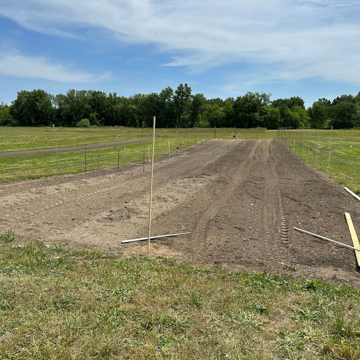 Feitore Deer Fence Netting, 7x100ft Garden Net Bird Netting,Reinforced Edge customer photo 1
