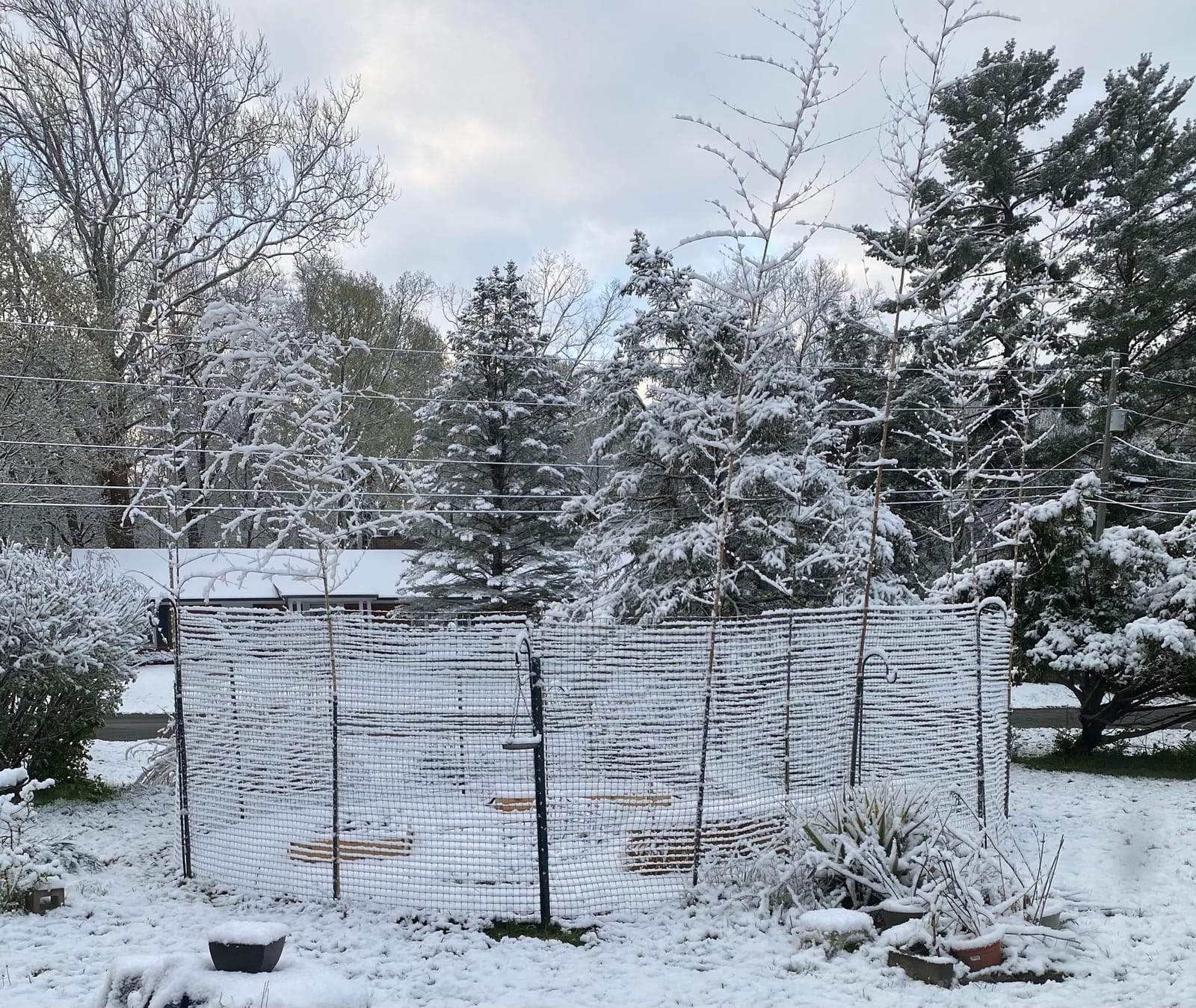 OldMacDonald Deer and Animal Fence Barrier Netting (55gr/sq m.) 7.5' x 330' (2.3m x 100m) (mesh 19x19mm) - Folded for Shipping customer photo 1